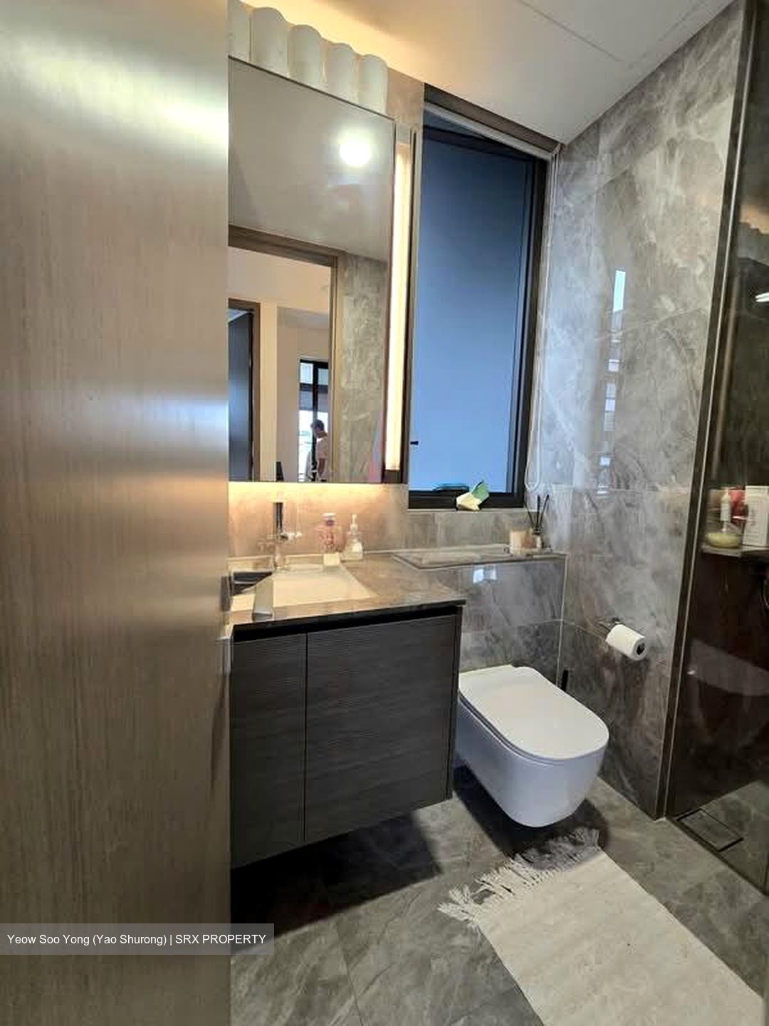 Leedon Green (D10), Condominium #558450001